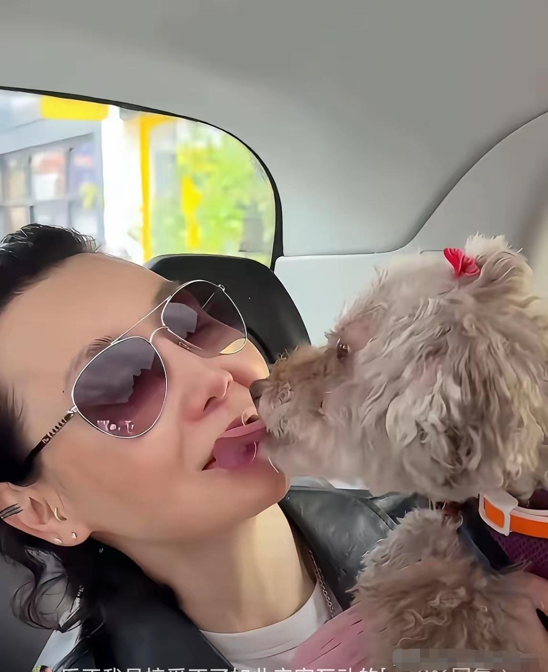 张曼玉也太喜欢狗狗了，再喜欢也不建议和狗狗🈶这样这样亲密的行为。