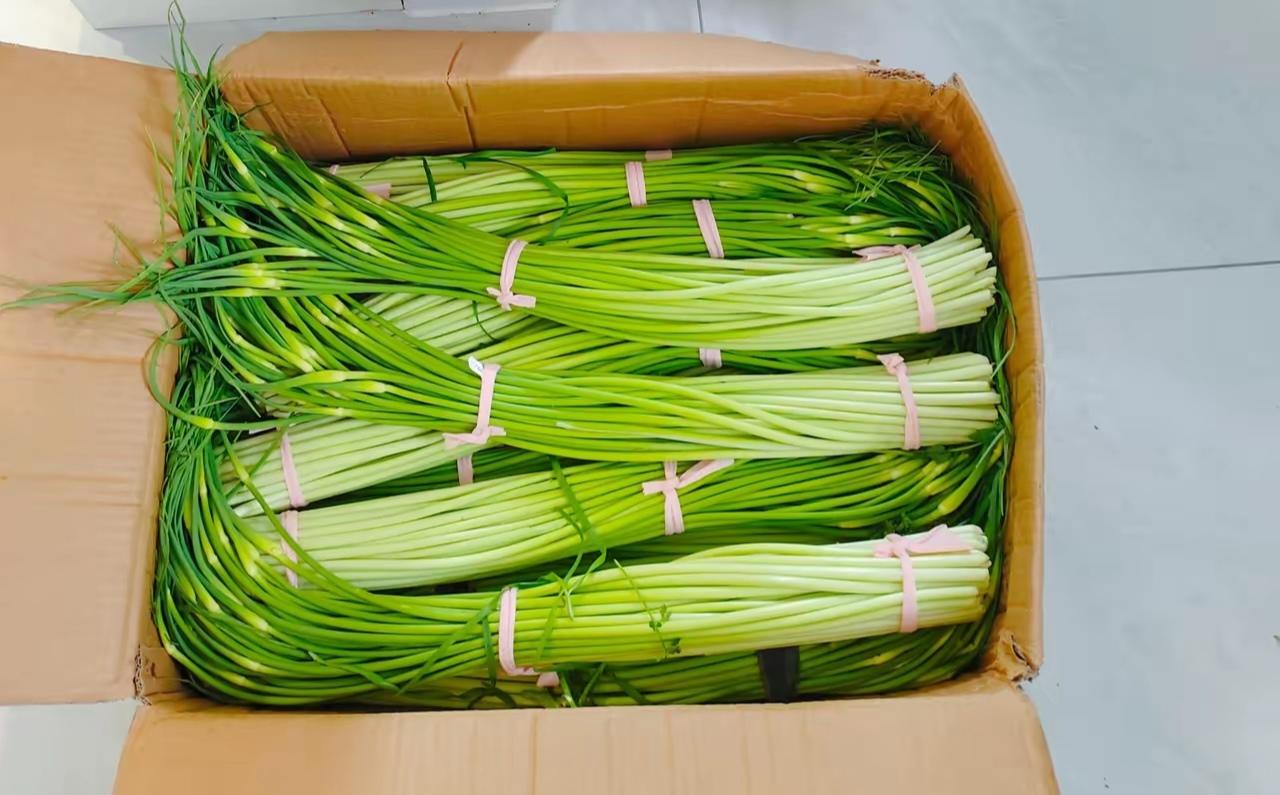 我婆婆是个特别朴实的农村老太太，一辈子省吃俭用的。每次给她买件