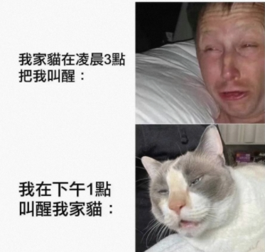 简直是一模一样