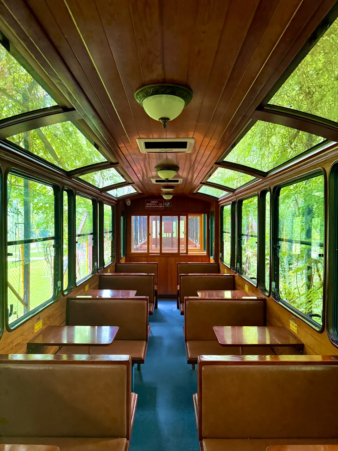 在合肥，我坐上了前往宫崎骏世界的小火车🚂