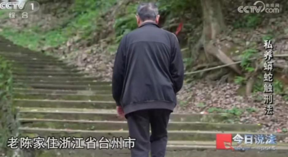 说出来你可能不信，有人在小区居民楼里养了300多条蟒蛇，想想都头皮发麻。事情得从