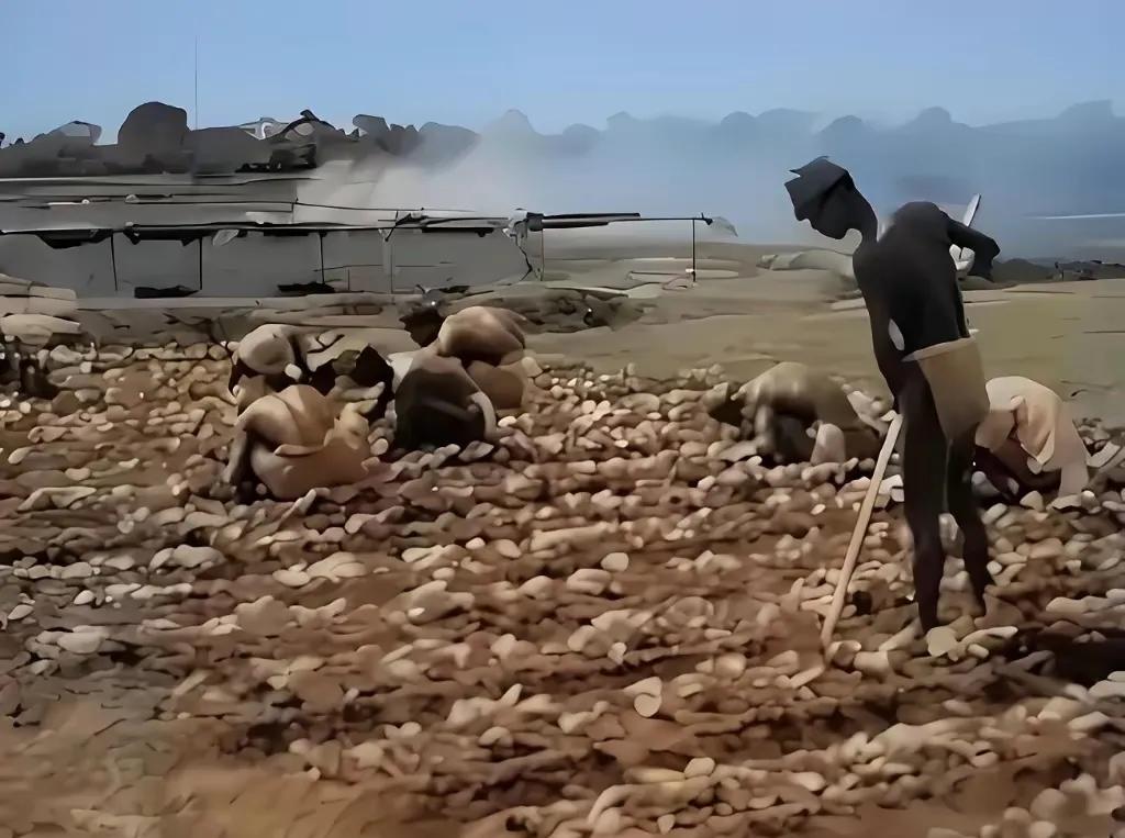 1945年，苏联红军出兵东北，协同我军对侵华日军发起进攻，毙敌八万余人，俘虏近