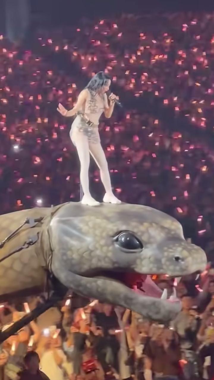演唱会都这么卷了吗？昨天蔡依林演唱会看了吗？蔡依林踩着大蛇出场，舞台上不仅有