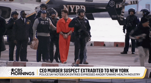 大家还记得那个，杀了保险公司CEO的“美国英雄”路易吉吗？坐了一年多的牢，结果现