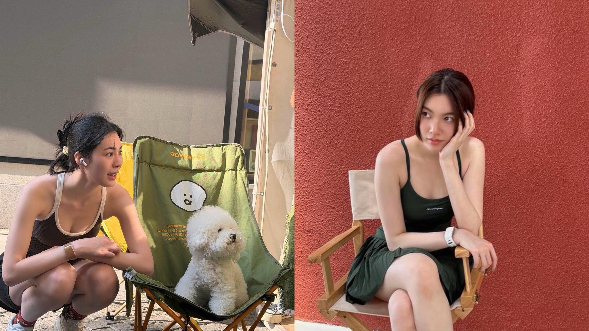 怪不得给两只狗都看呆了​​​