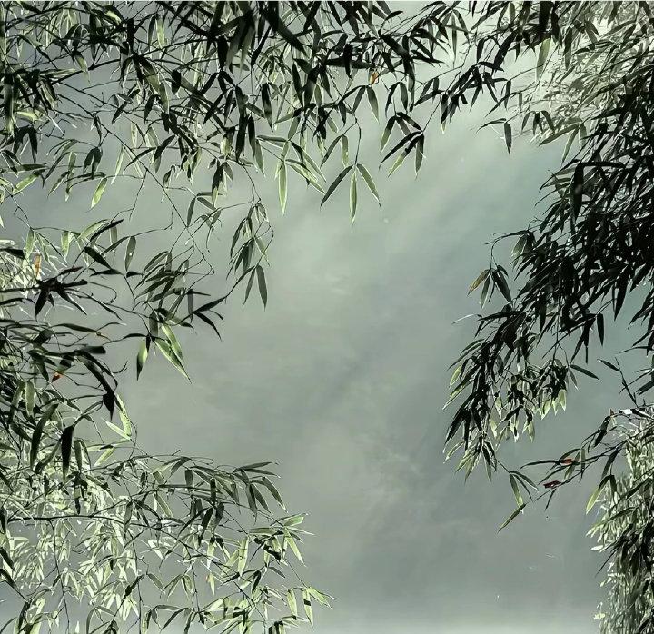 富弼的妻子晏氏，是晏殊的嫡长女。媒人是范仲淹，当时作为宰相家的嫡女嫁给尚处寒微