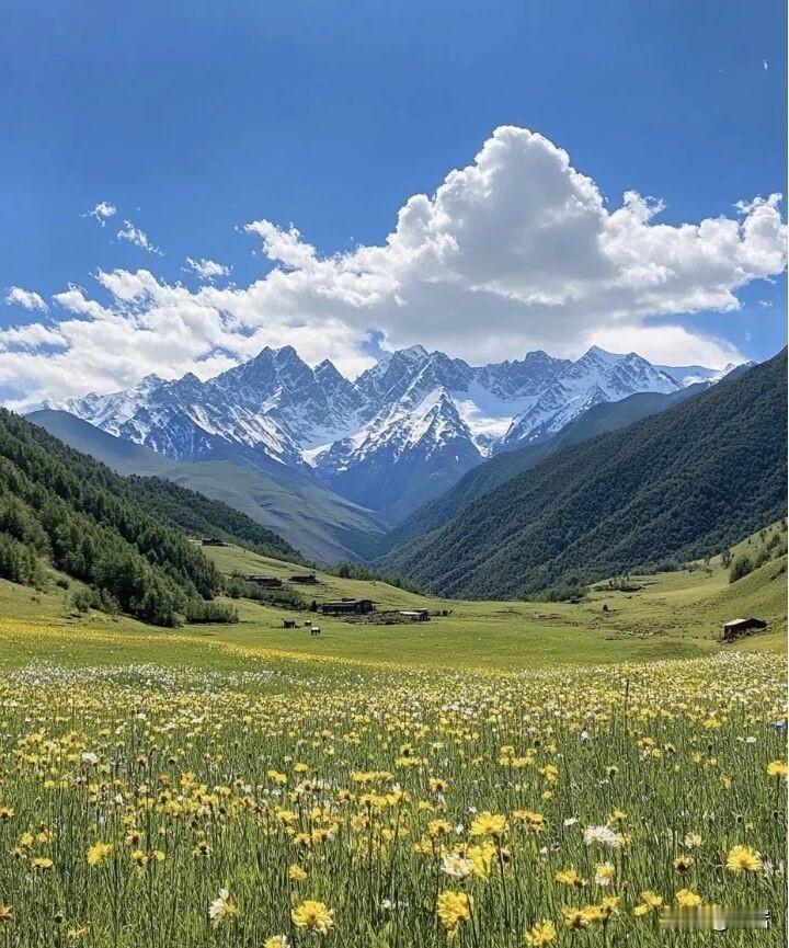内心通透的人，有七个不轻易第一，不轻易评判他人。深知每个人处境不同，不凭
