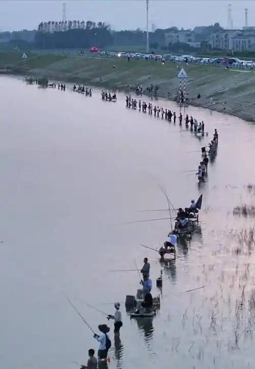2025年夏季，长江流域的江岸边呈现出一幅壮观景象：数百名钓鱼爱好者一字排开，五