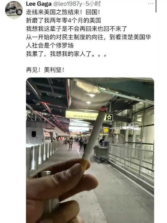 出去是垃圾，回来还是垃圾！看看你这副现世的嘴脸，真是啦啦打脸啊。既然想润，打死