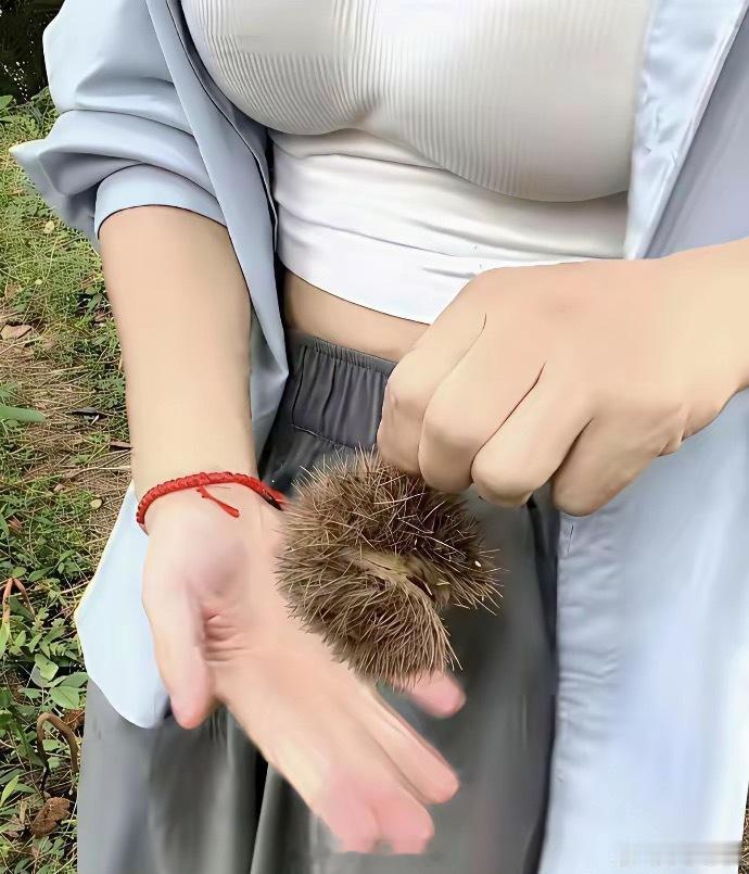 小姐姐非要带我爬山，上山摘的这是什么？