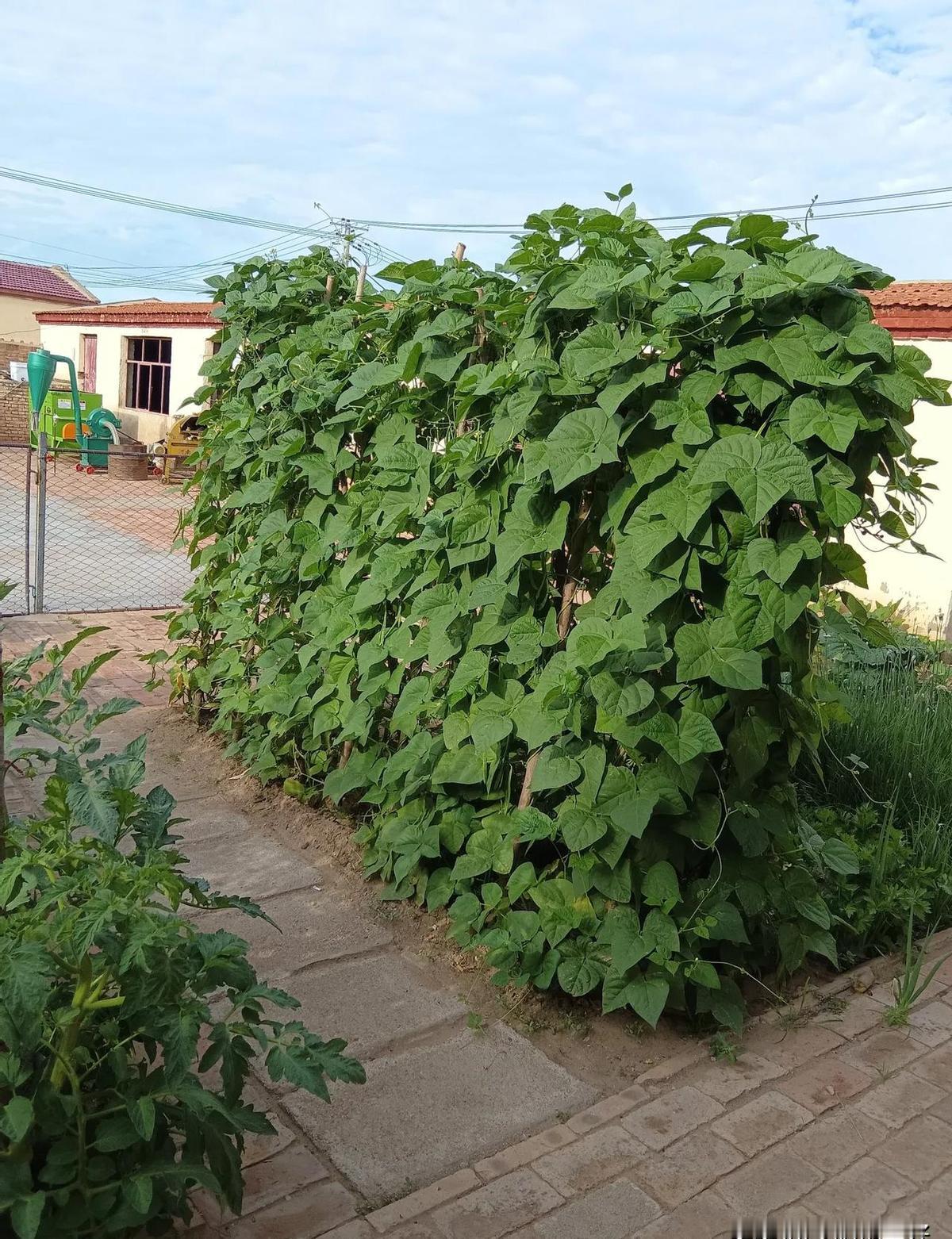 城里人还在焦虑养老得存够五百万，这位农村大爷直接用一冰柜的猪肉狠狠“打脸”了：慌