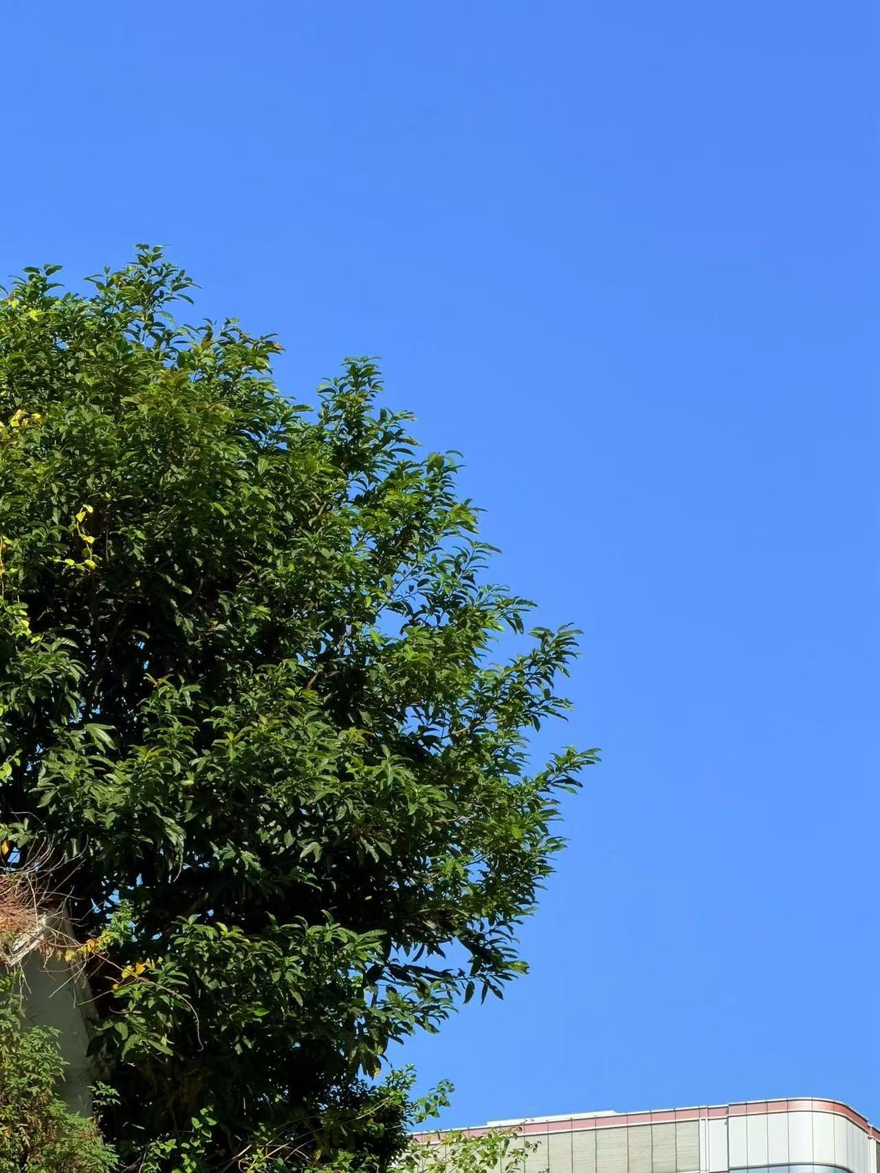 第一次拒绝老妈，我心里也挺难受但不后悔！老妈昨天打电话来，说家里油烟机不好用