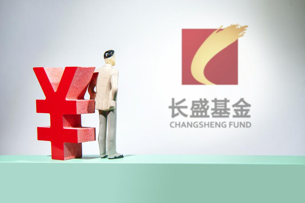 基金忠言|长盛基金之痛: 一基金跑输基准291%