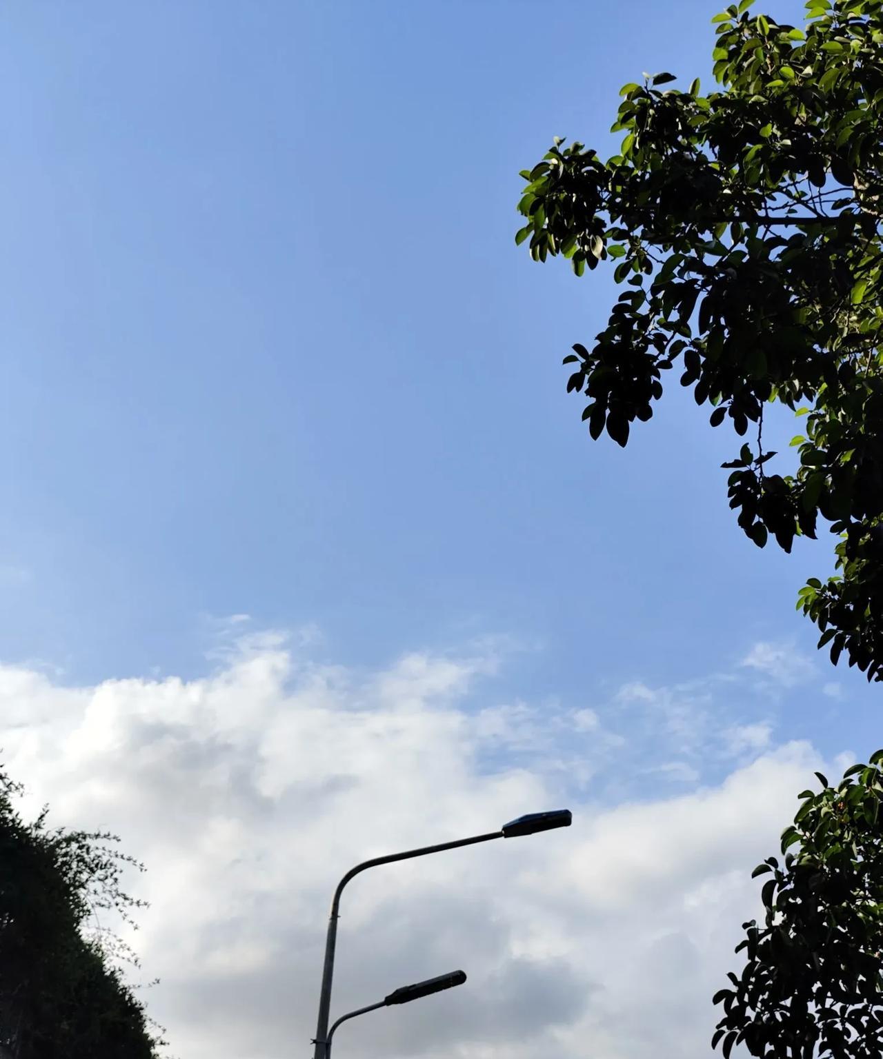 韩安冉称只喜欢整容脸男人，她直播说不整容的不喜欢，说今年人气变差绝对跟团播有关，