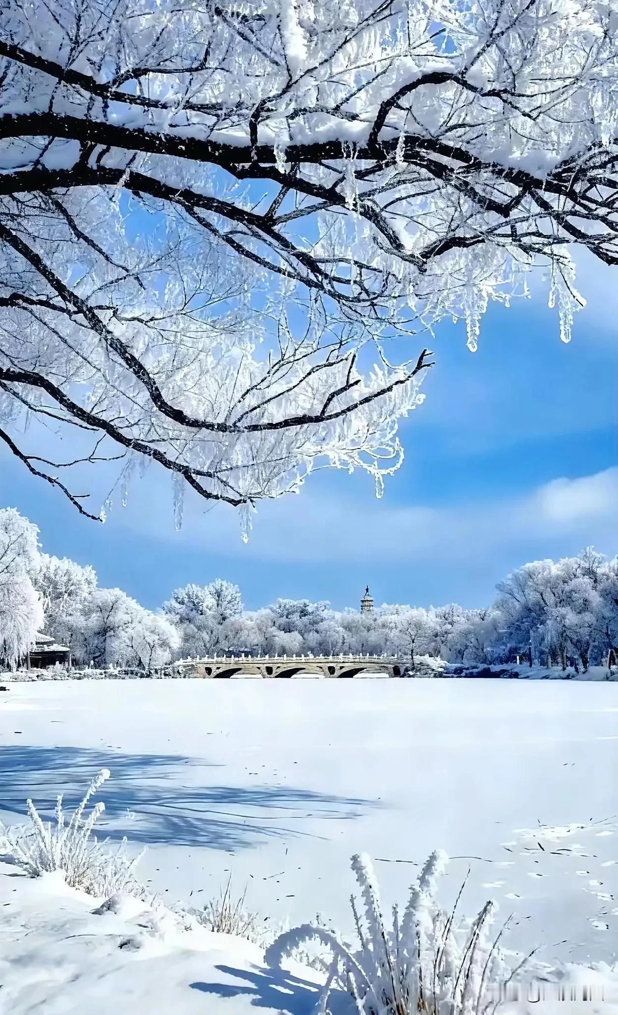 公园里这冬日美景，真如诗如画！雪中桥影，像是被岁月精心勾勒，桥身被雪温柔覆盖，倒