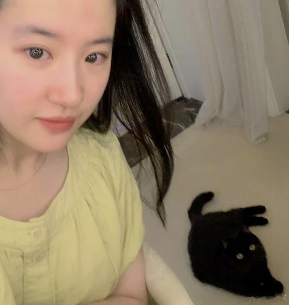 刘亦菲的猫咪宠妃头牌☝️高冷的黑煤球刘东东[滑稽笑]​​​