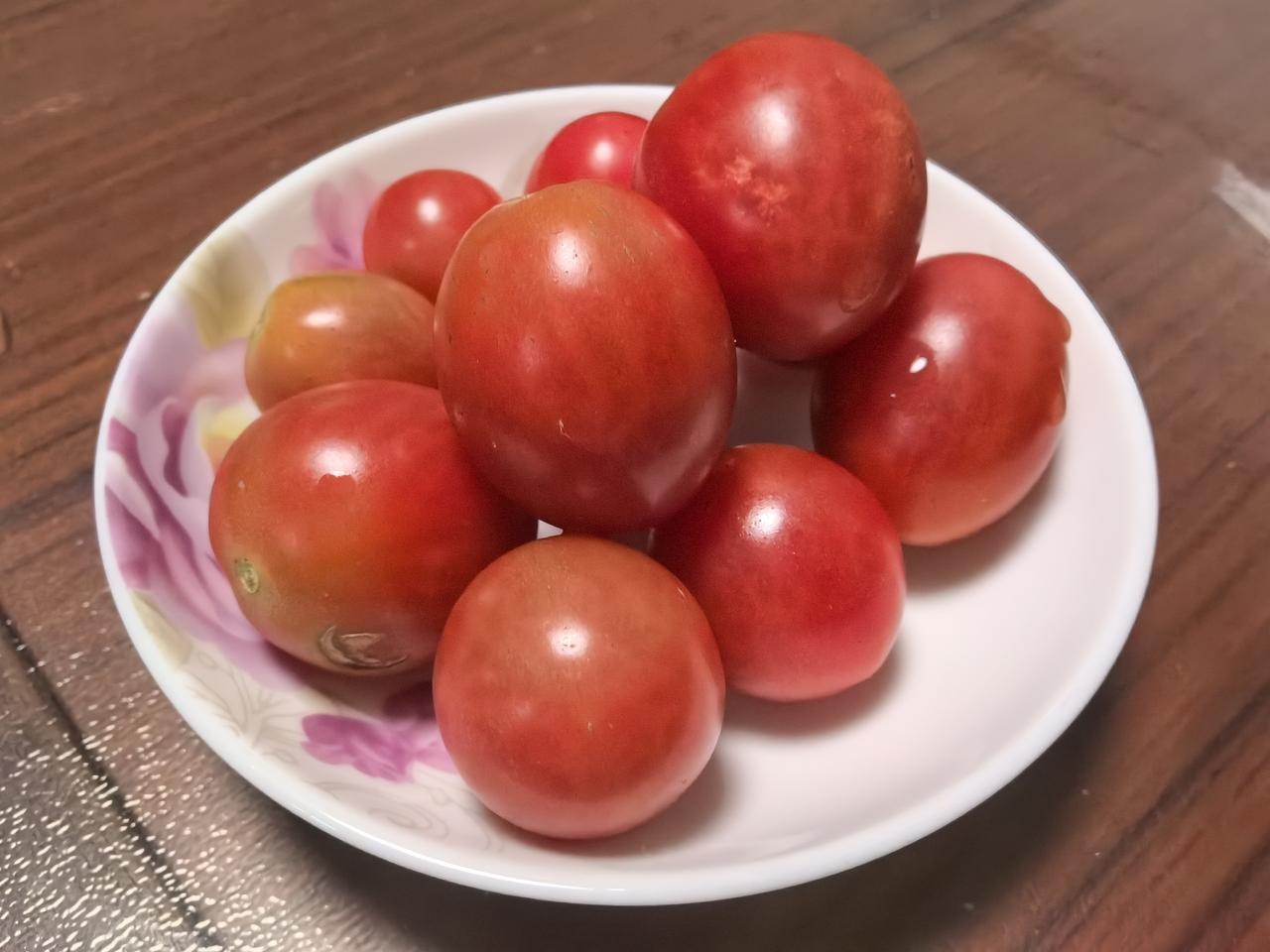 盛夏菜园独自工作，享受采摘瓜果的喜悦，春天雨季辛辛苦苦种下的瓜苗，陆陆续续的开始