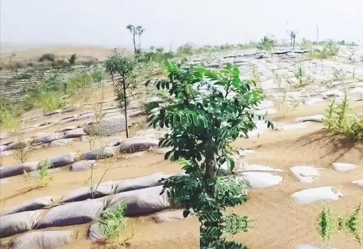 谁能想到，一个连15块钱小旅馆都住不起、大半夜被赶到沙漠里打地铺的穷汉，日后竟然