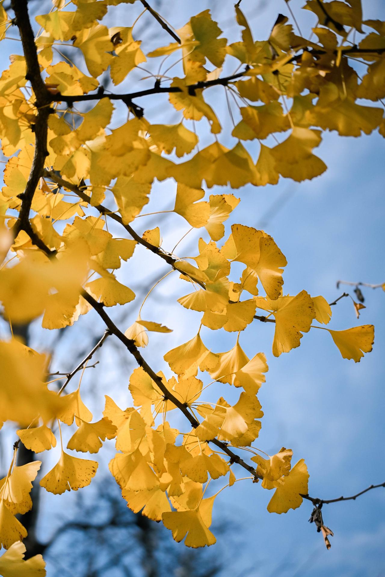 给你200万，你会怎样做？有人说在城里买房子，做点小买卖好好过日子。有人