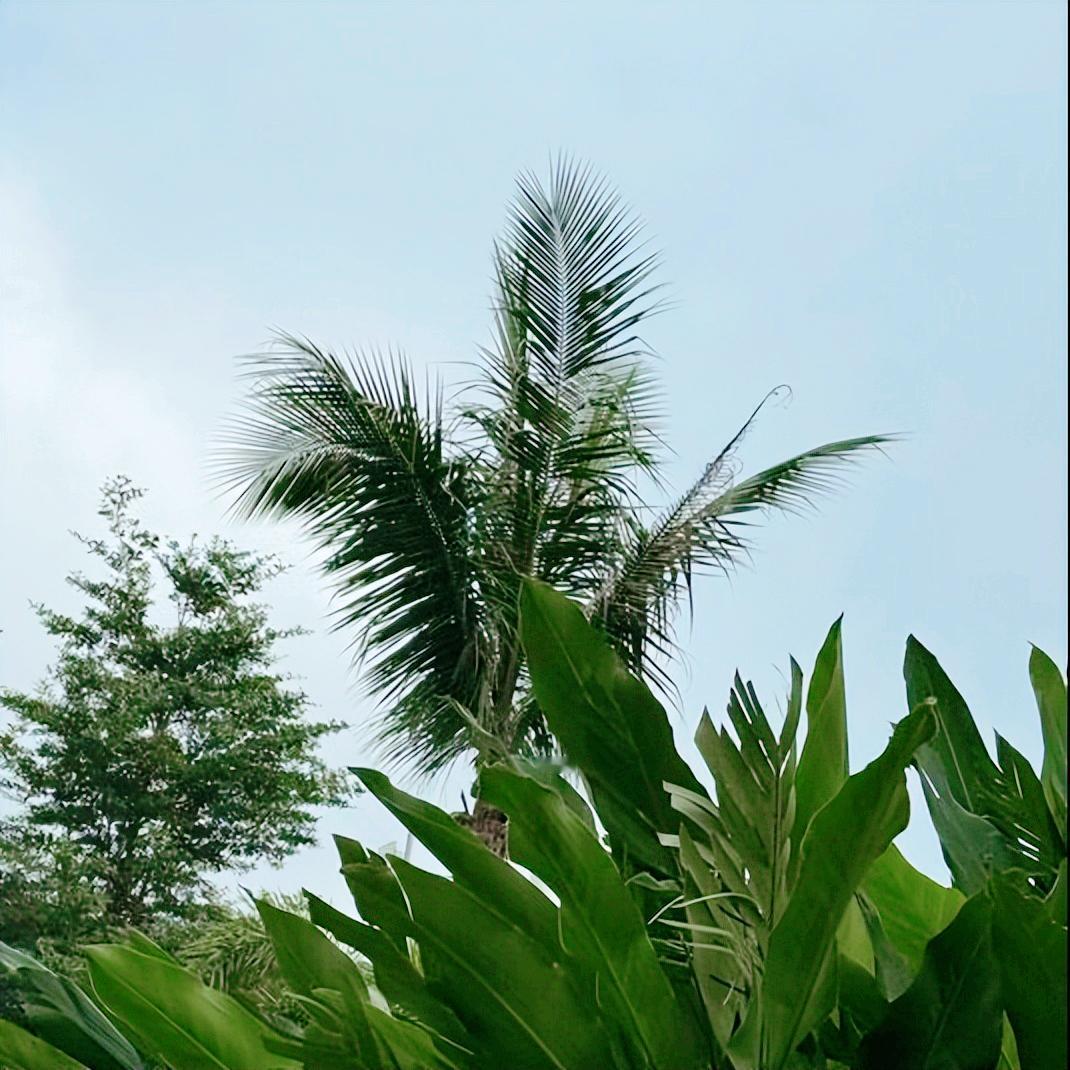 今天  山东：执纪审查1人 今天10:00，该省执纪审查1人，为司法厅原官