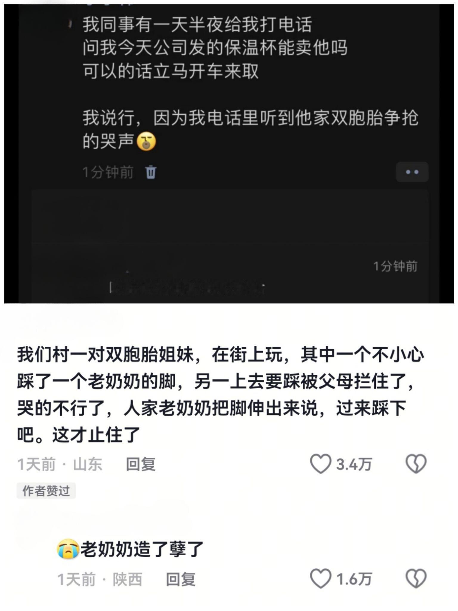 双胞胎家庭不语，只是一味的共鸣