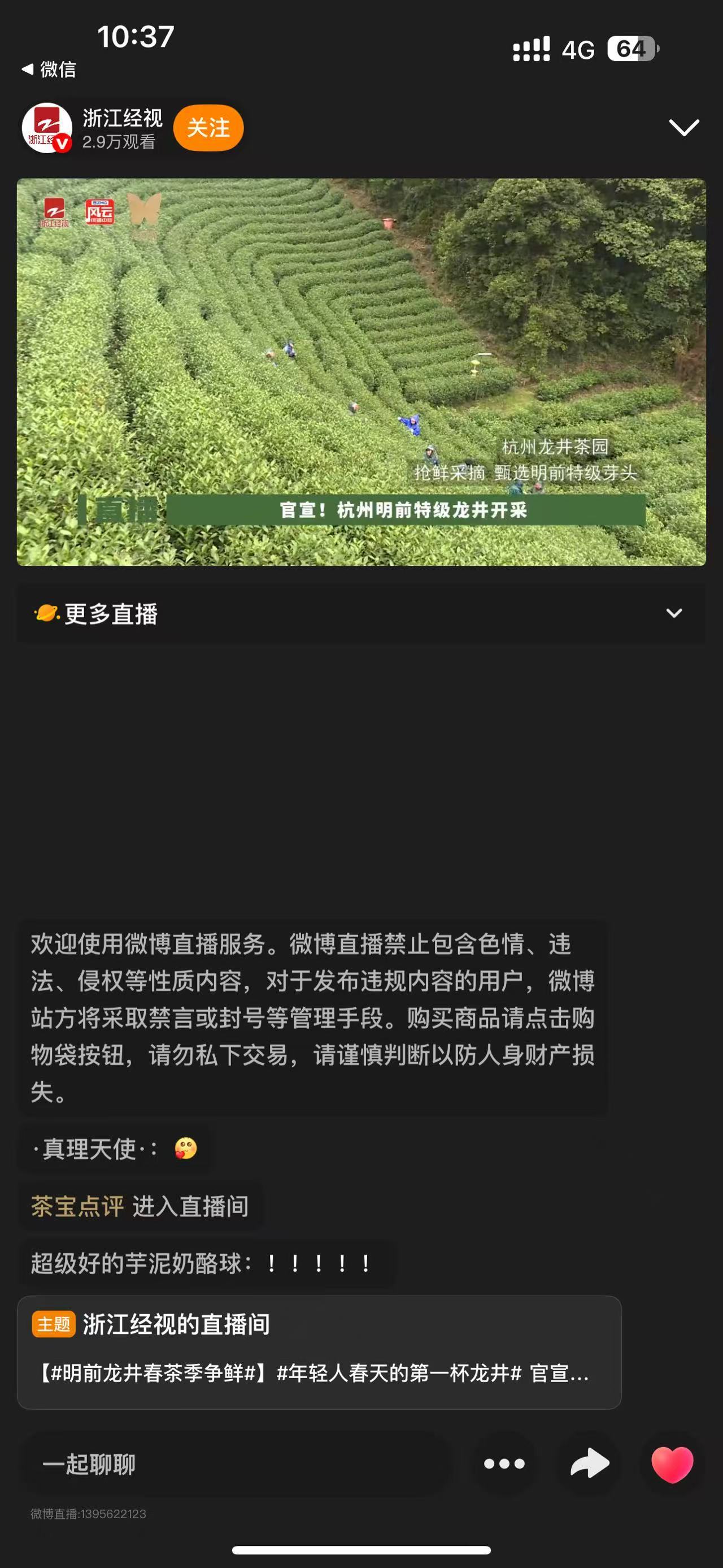 杭州龙井刚开采就被做成奶茶了杭州头茬明前龙井总算上新了，茶香温润不刺鼻，口感淡雅