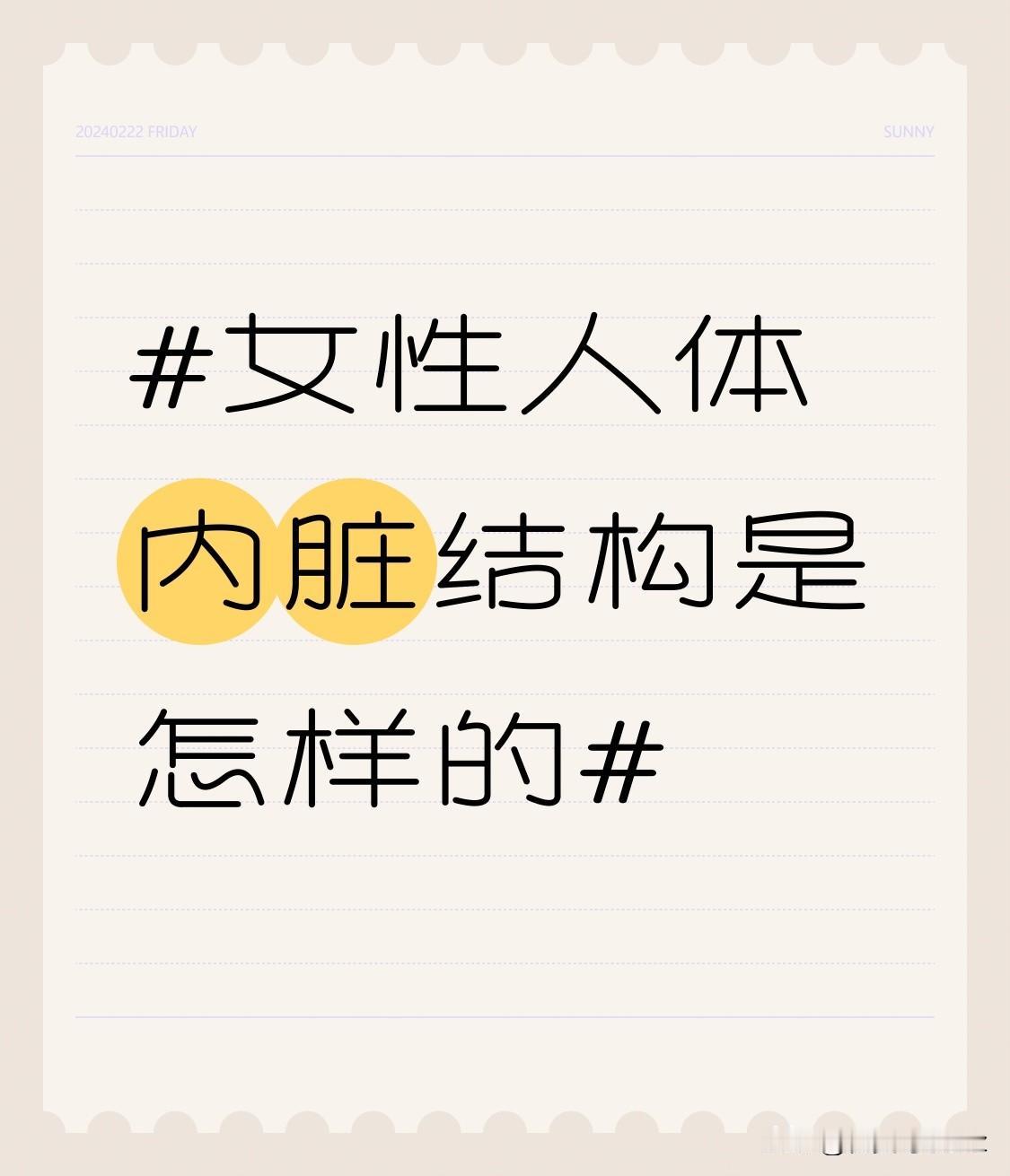 在女性体内，膀胱前方与耻骨联合相邻，后方与子宫和阴道相邻。这种位置关系使得女性在