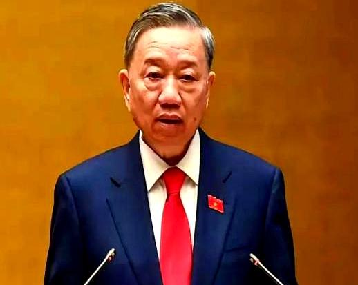 越南这次真是把“反复无常”演绎到了极致！日本驻越大使直接摊牌，百亿美元的宁顺2号