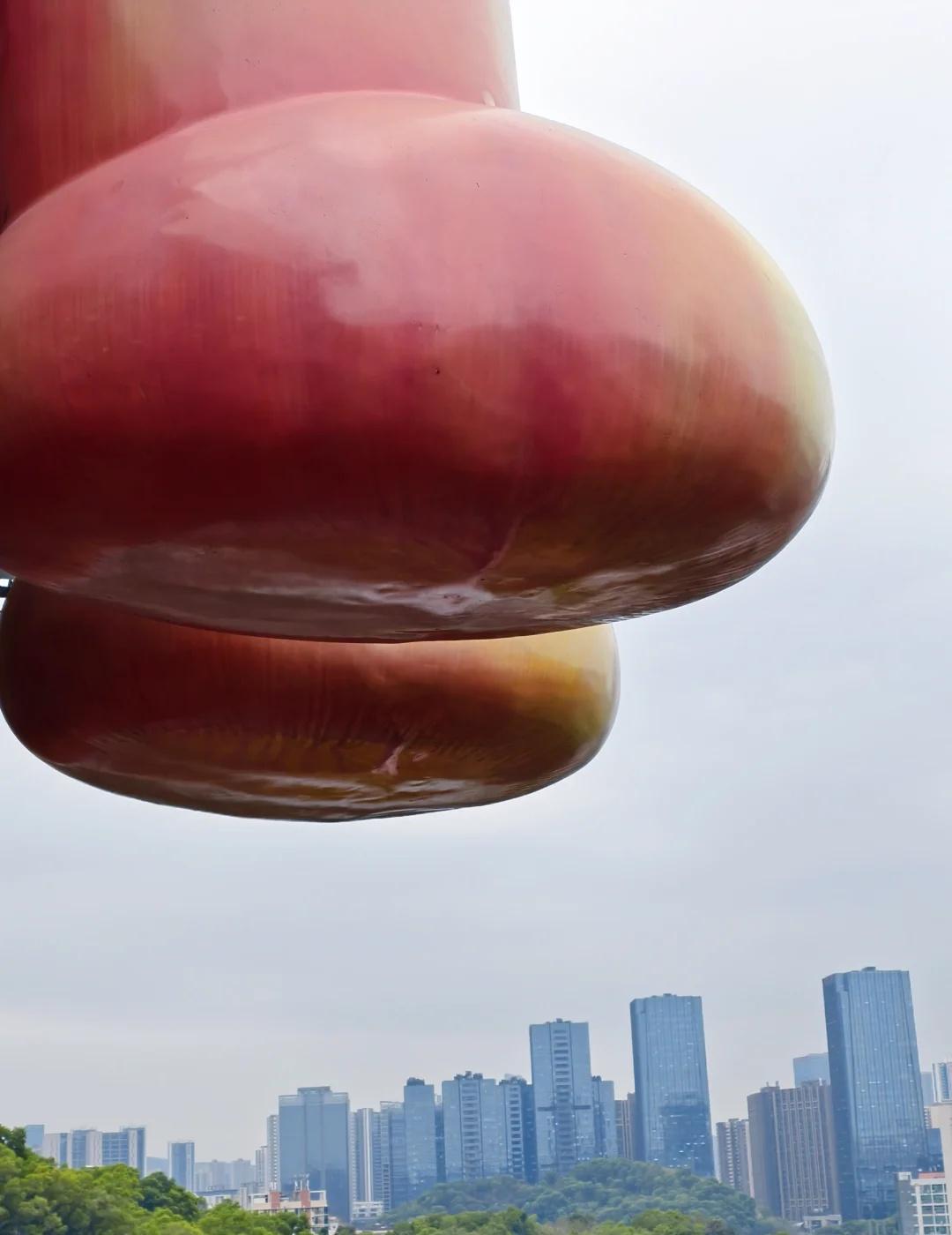 雪竹径→甘坑:8公里穿越萌塔/森林与古镇✨【路线亮点】▫️雪竹径公园：坂田终