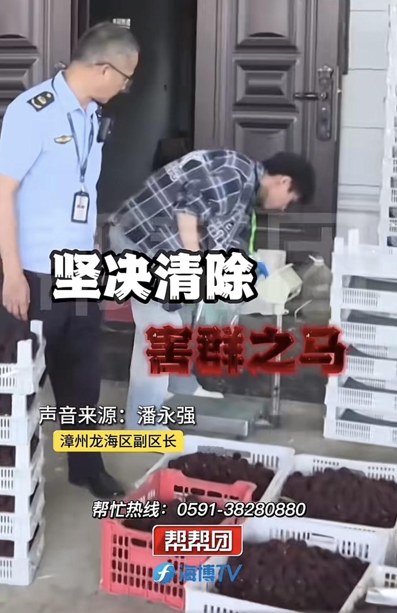 张嘴说瞎话。药泡杨梅是今年才出现的事儿吗？多年前就有了，只是今年被记者曝光了，弄
