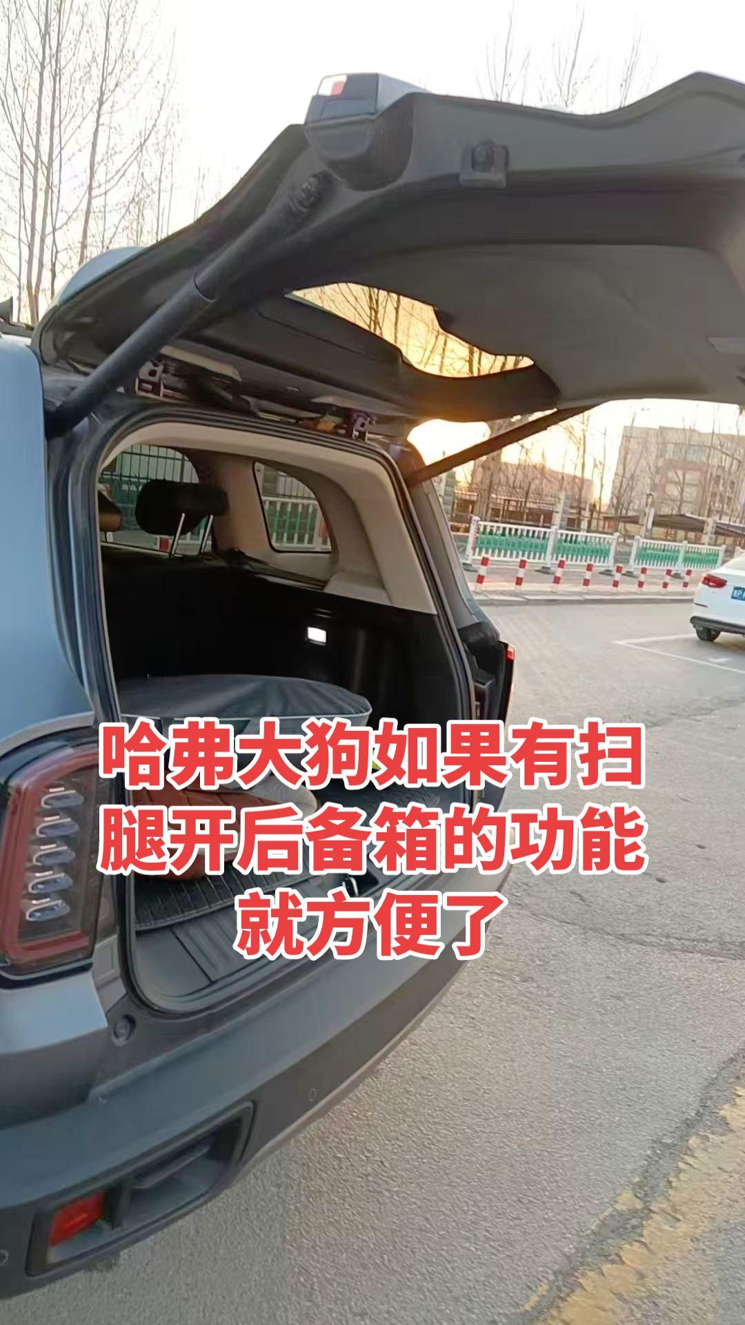 有时候搬东西开后备箱真的不方便，建议哈弗大狗增加扫腿开后备箱的功能