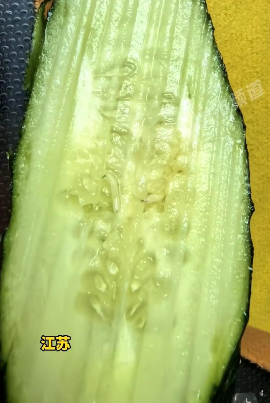 近日江苏，一位市民准备制作凉拌黄瓜，在用擦丝器刨黄瓜时意外发现隐患。刨出来的黄瓜