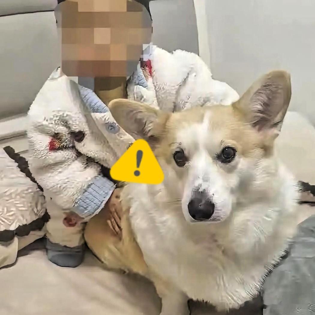 我怀疑过坠亡幼童的爸外面有人，也怀疑过他跟妻子没感情了，但万万没想到，这位爸