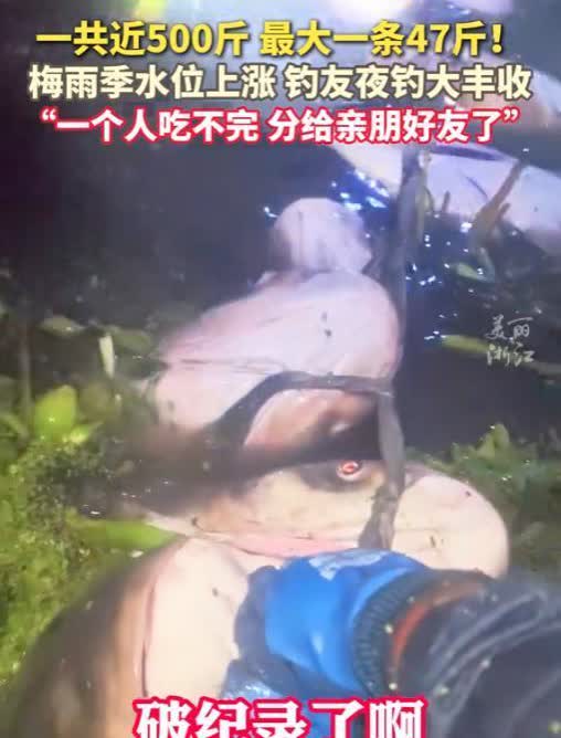 “这就是命啊！”6月24日，江苏，一男子冒雨在河边钓鱼，竟然钓上来近500斤的鱼