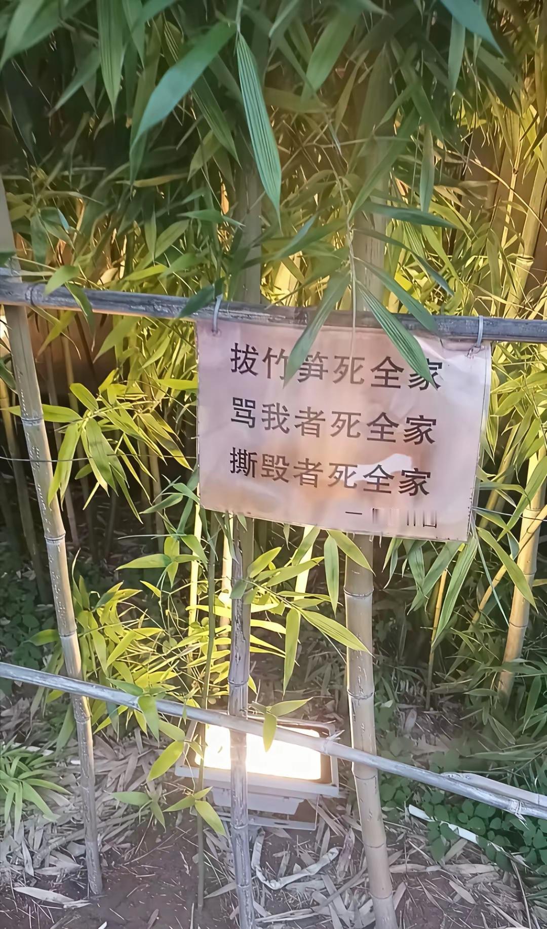 这是被嚯嚯了多少[笑着哭]都气的骂开了