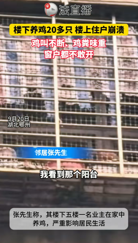 湖北鄂州，一老旧小区五楼业主在次卧阳台养鸡20多只，楼上业主从去年忍到今年，家中不敢开窗，衣服沾满鸡