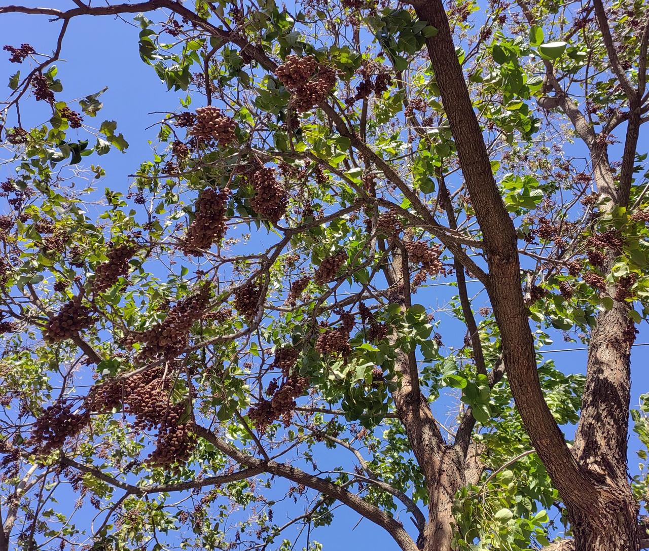 到某一类职业院校看一看，人口红利还是有潜可挖的，关键问题是能否挖出来、挖得到，毕