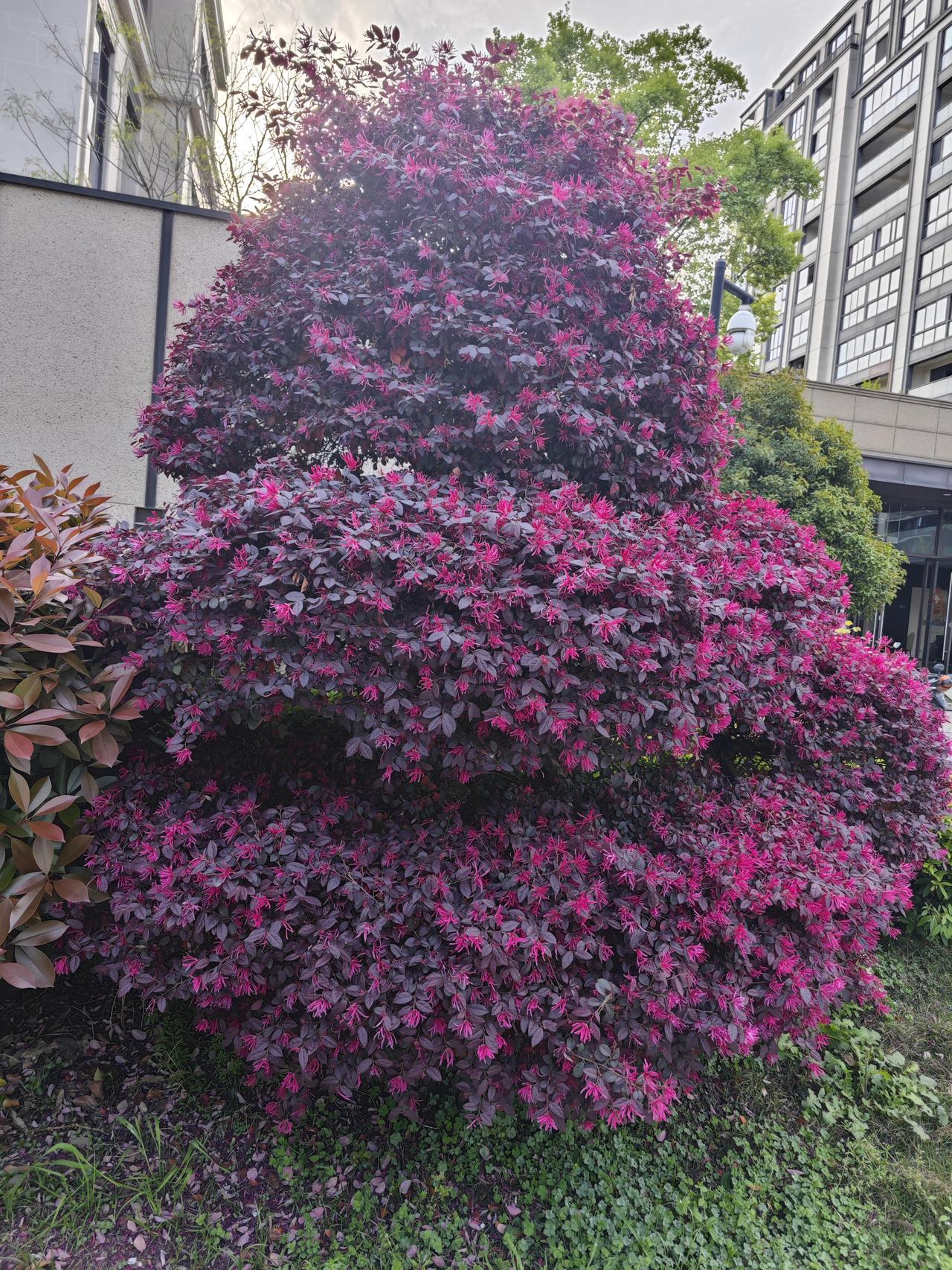 人到晚年才懂：养生最好的方式，不是拼命往身上加东西，而是往心里卸包袱。给生活