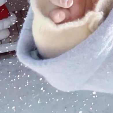 种植西瓜的种植方法一、栽种土壤与基肥选择西瓜栽种，应选择土质疏松，日照充足、浇