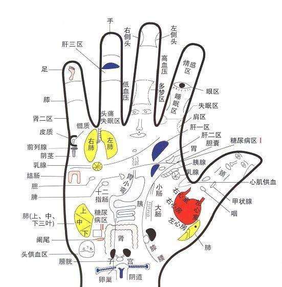 手诊面诊色诊大全图谱, 学者医者可以用