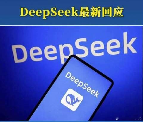 DeepSeek最新回应5月19日，DeepSeek官方回应，用户输入特殊字符出