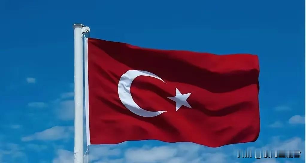 这次土耳其算是彻底打错了算盘！以为还能像当年卡我们要道那样，逼着中国企业低头。结