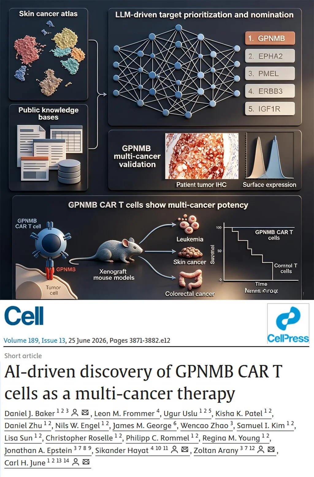 Cell重磅-CAR-T之父用AI发现细胞治疗新靶点