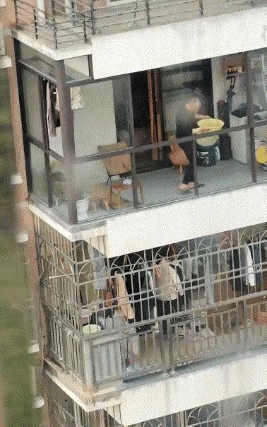 俩字：缺大德了！