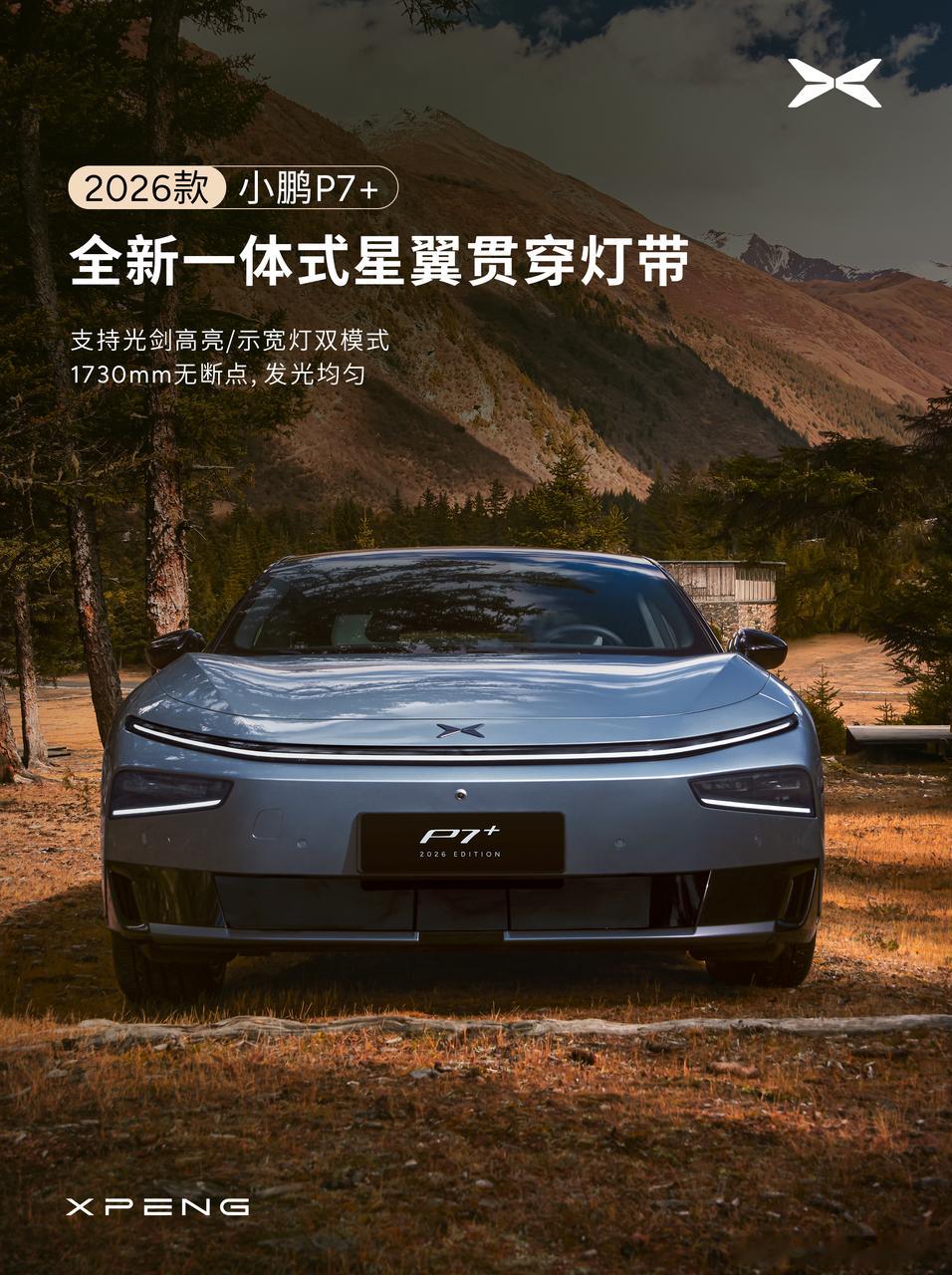 为啥要拍得这么扁平。