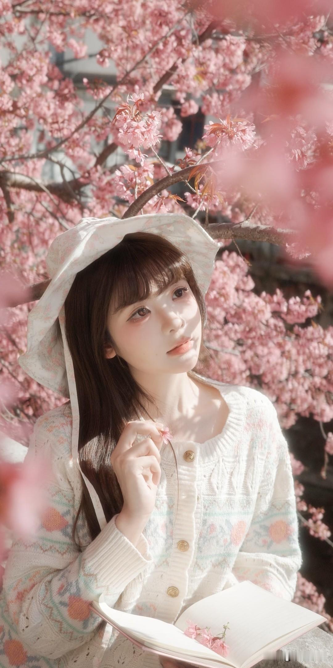 樱花树下，少女在读书享受春光，及书香与花香交织的美好时光。