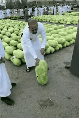 这是冬瓜瓤不纯还是西瓜型不正？