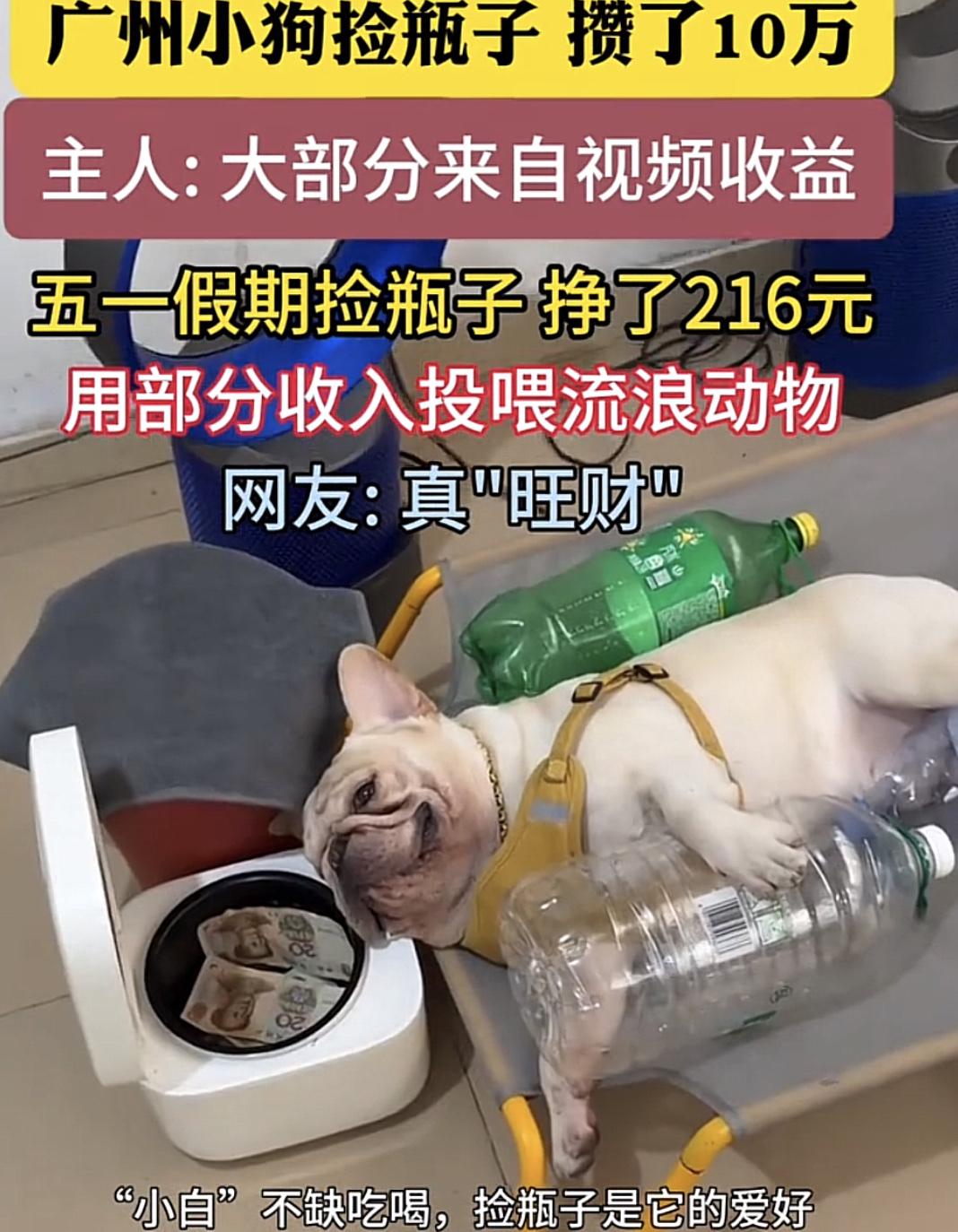 5月9日广州，捡瓶子的“小白”，预谋向其下毒的嫌疑男子已经被抓到！就因此事，