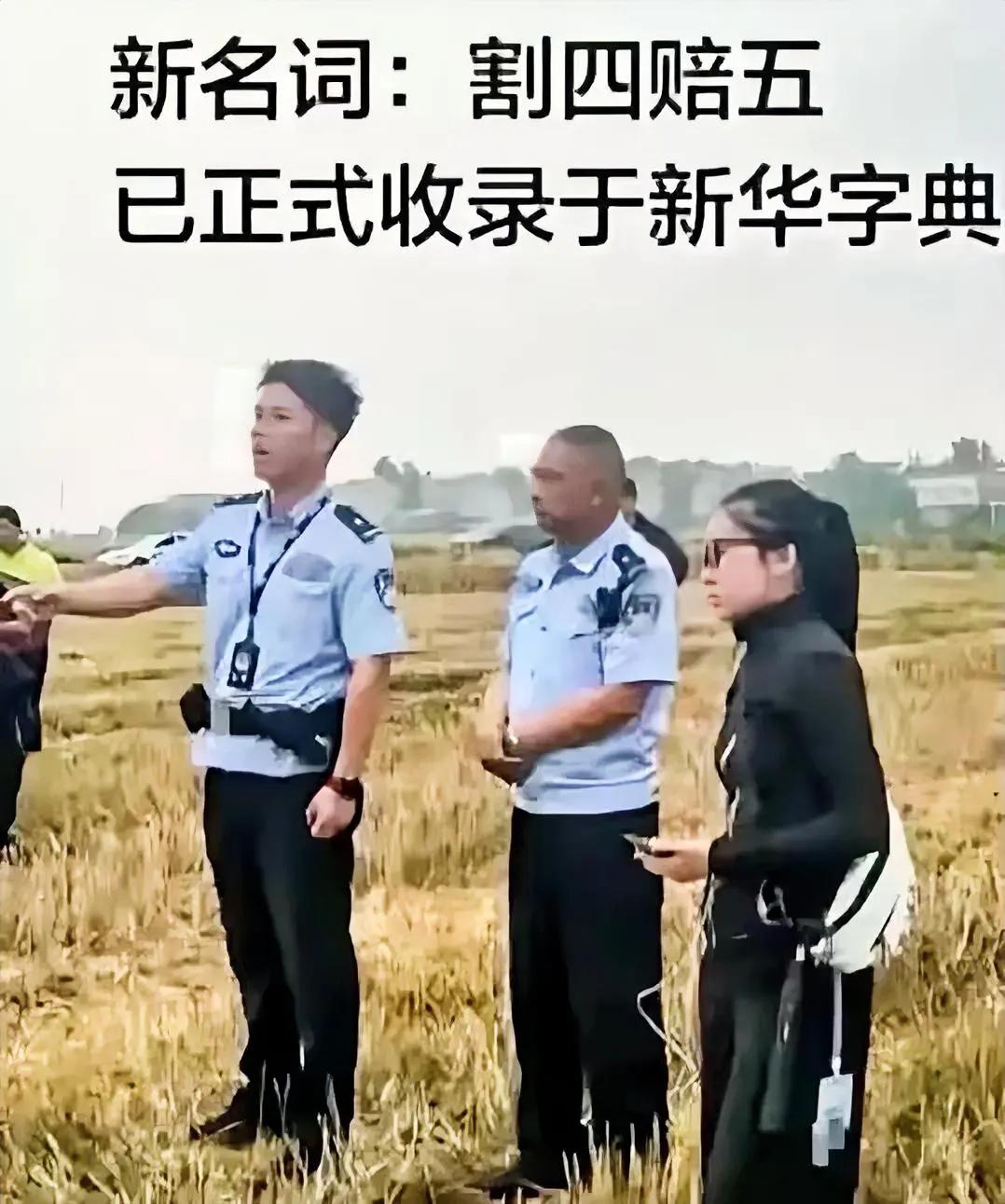 “割四赔五”谁说话也不好使，村领导，警察来调解都不行，雁过拔毛，这回在襄阳见识到