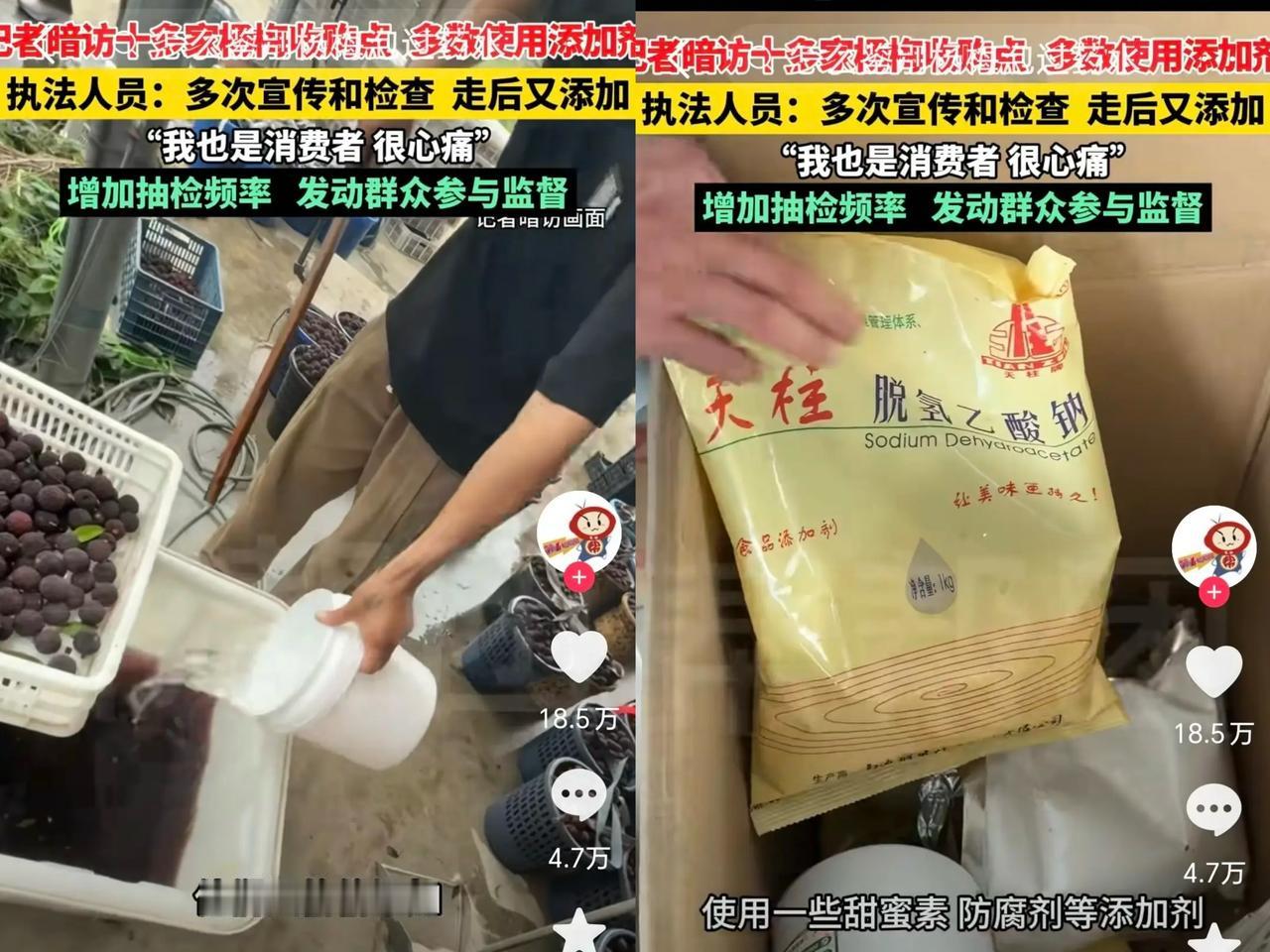 漳州杨梅扬名了，不过不是啥好名头，而是恶名远扬！这下可苦了那些种植杨梅的农户